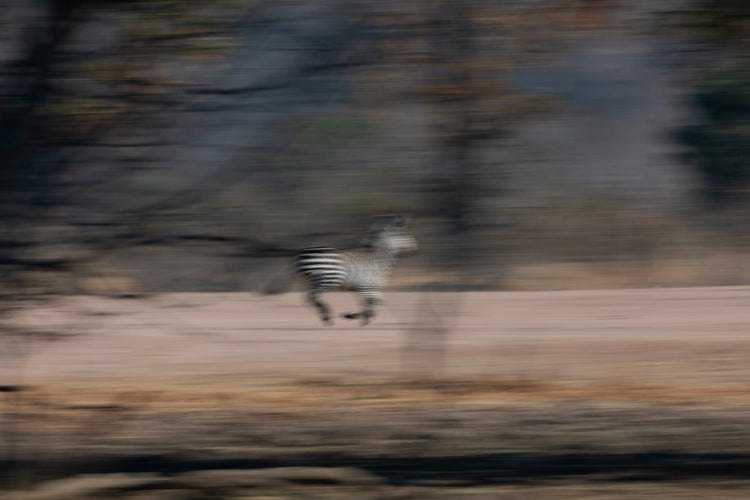 ABSTRACT PHOTOGRAPHY - Michael Davy