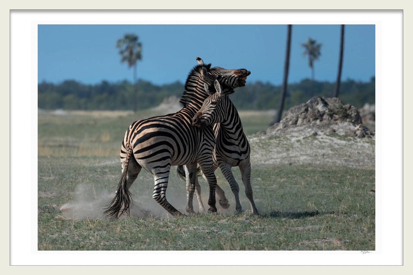 BATTLE ON THE PLAINS 1ST EDITION LIMITED FINE ART PRINTS