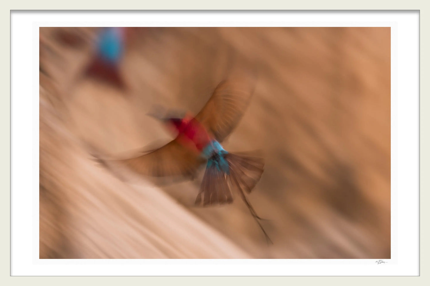 CARMINE MOTION BLUR - Michael Davy