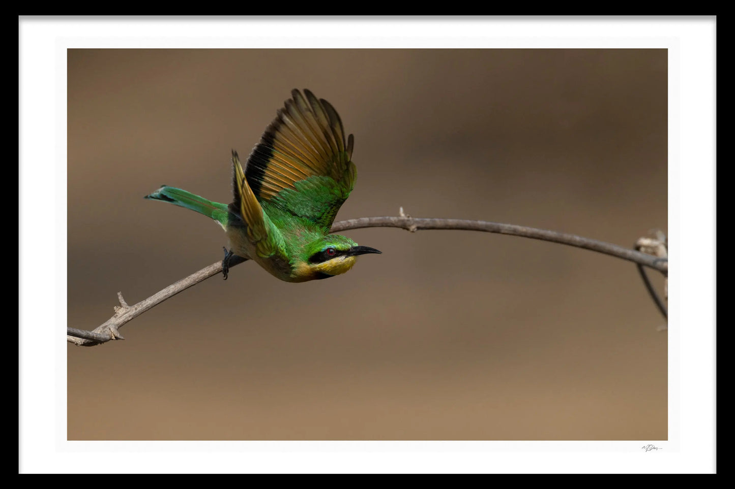 EMERALD FLIGHT - Michael Davy