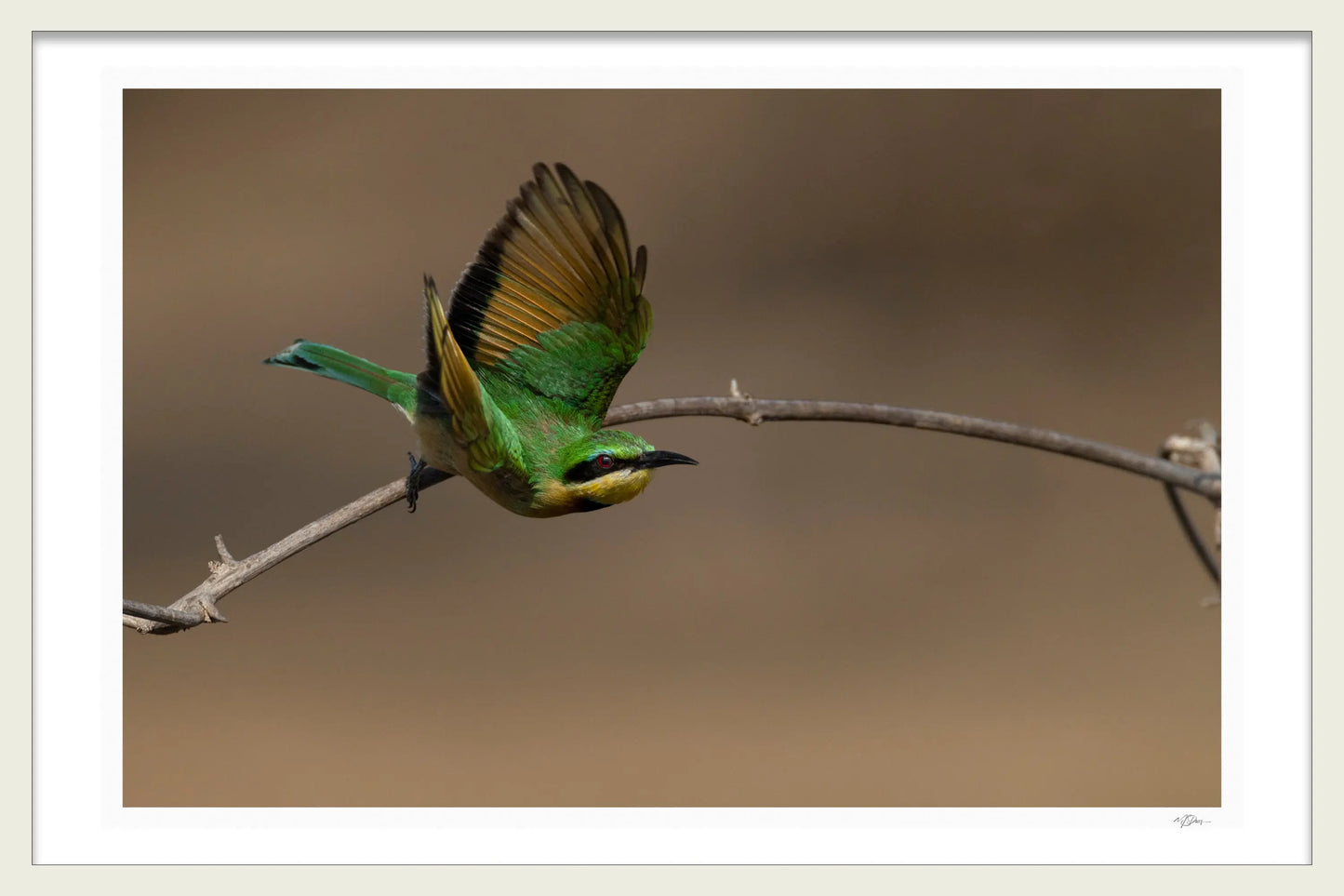 EMERALD FLIGHT - Michael Davy