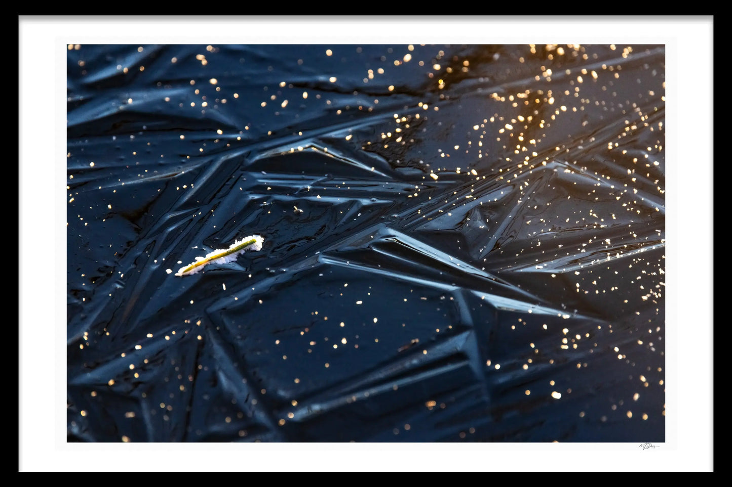 FROZEN TIME - Michael Davy