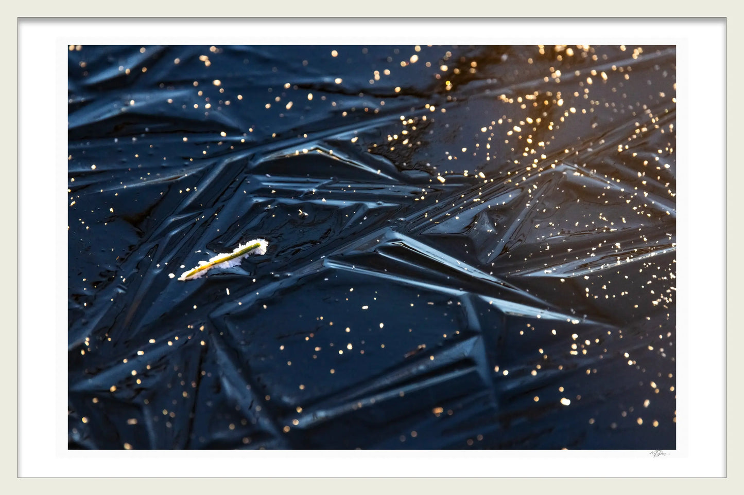 FROZEN TIME - Michael Davy