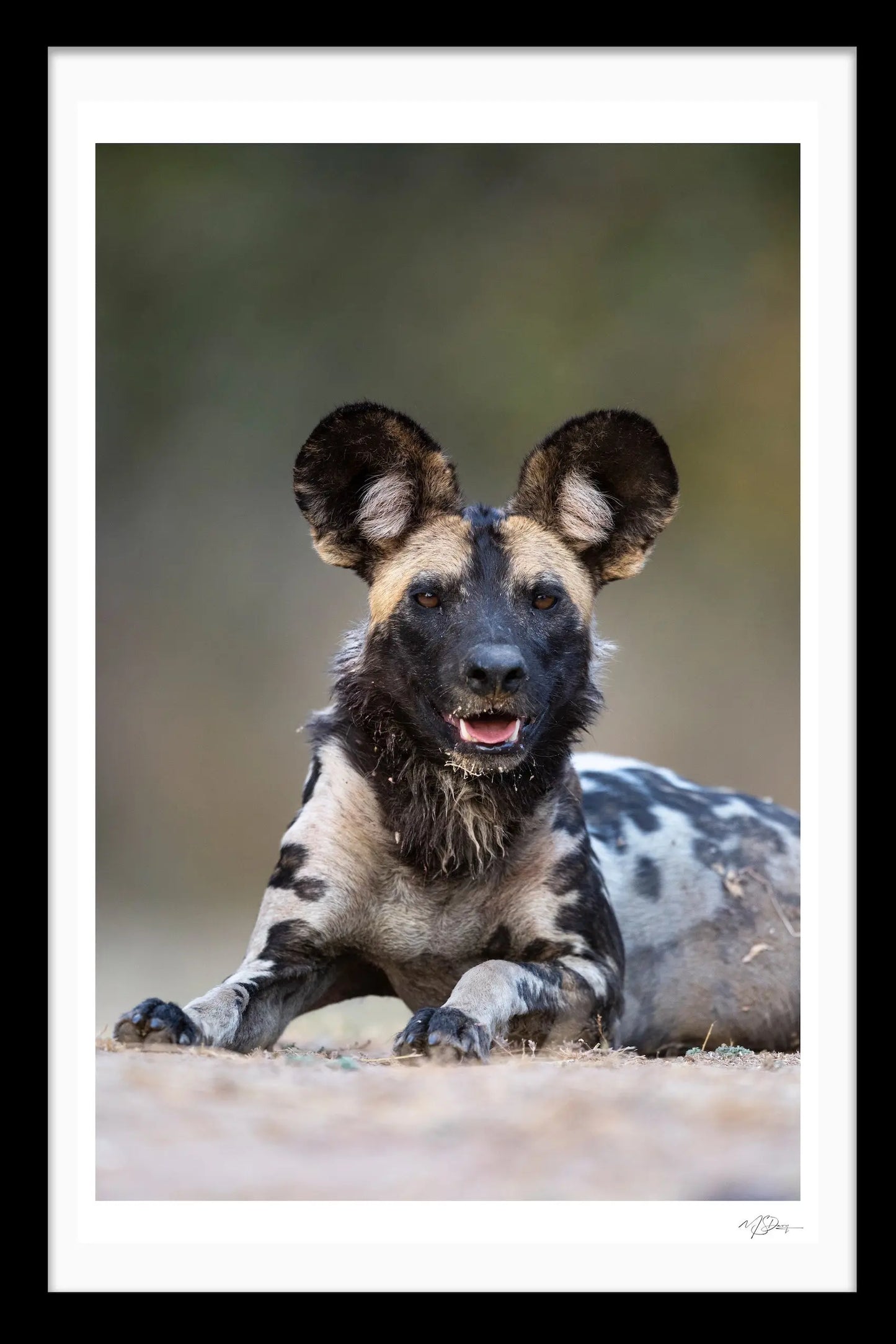 A GENTLEMANS PORTRAIT FINE ART PHOTOGRAPHIC LIMITED EDITION PRINT
