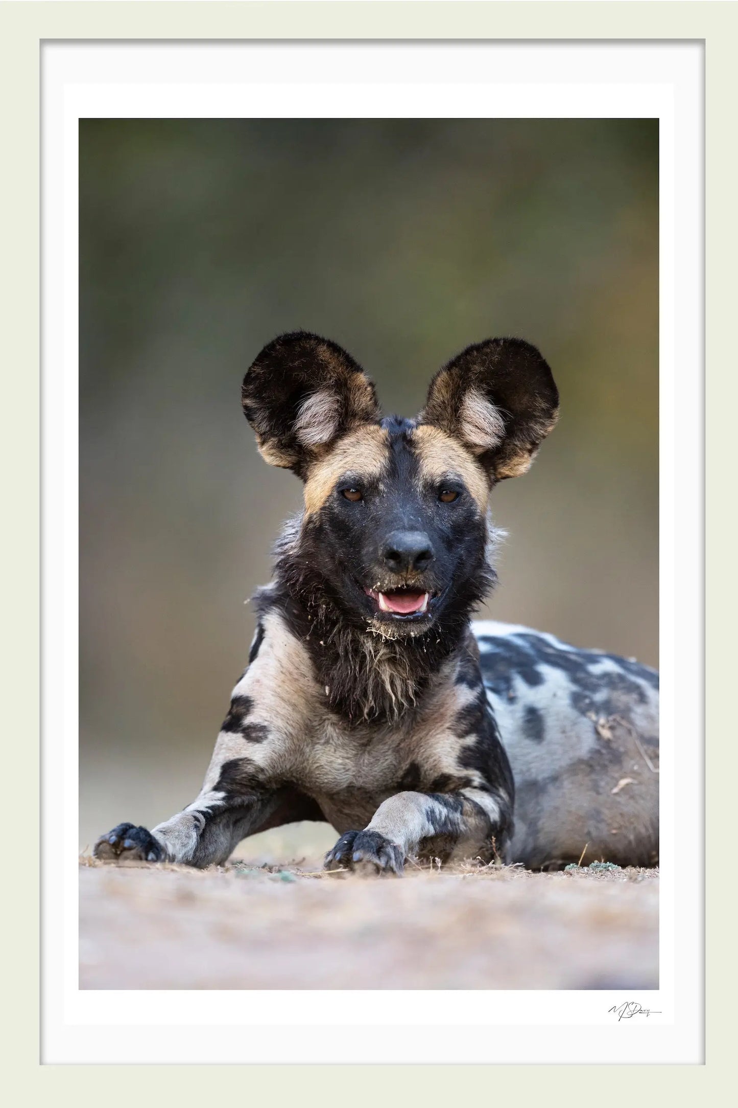 A GENTLEMANS PORTRAIT FINE ART PHOTOGRAPHIC LIMITED EDITION PRINT