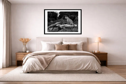 BETWEEN MOMENTS