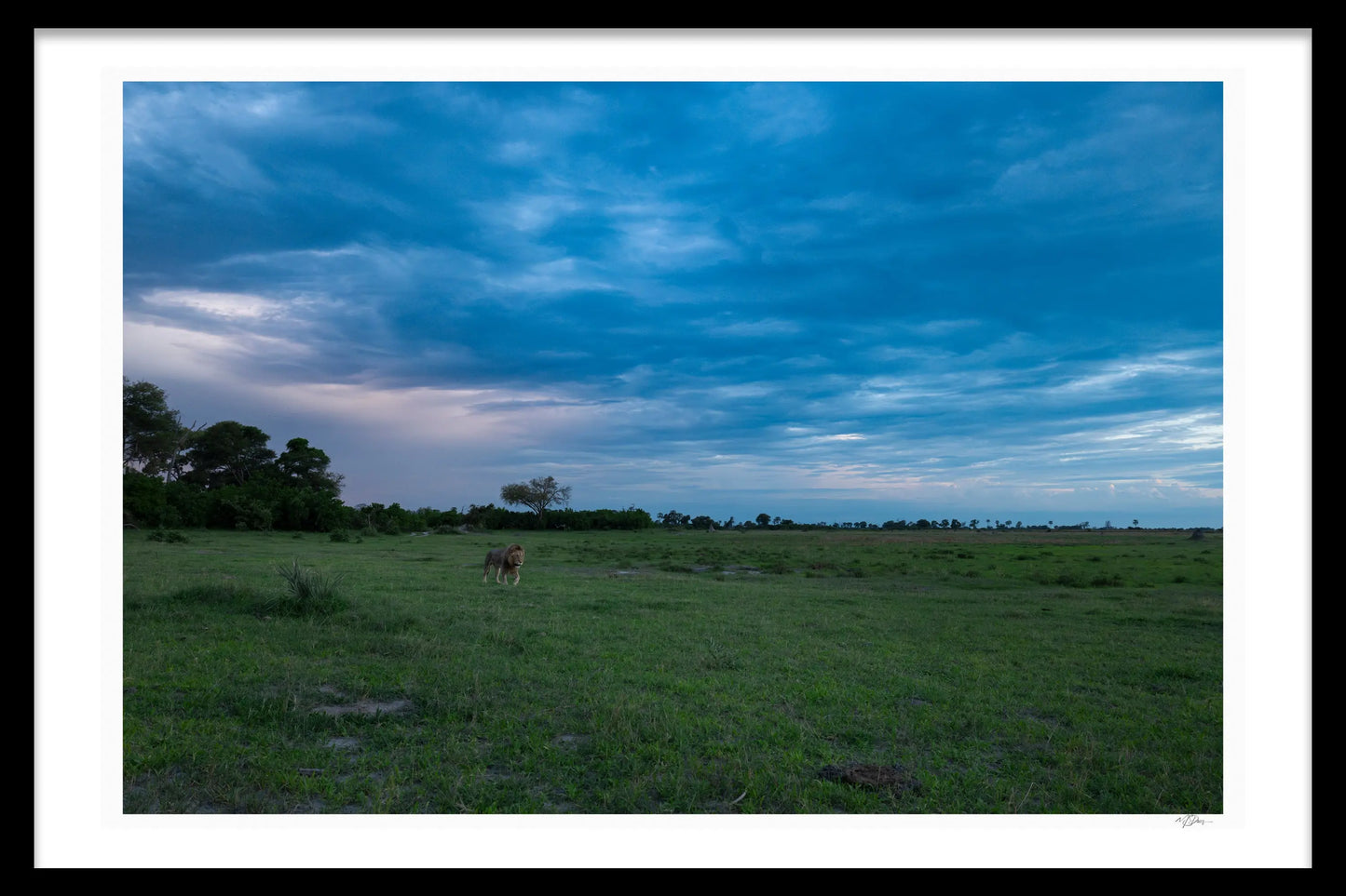BROODING SKIES
