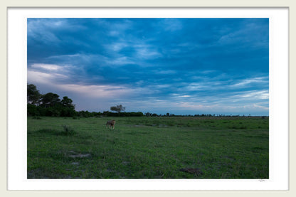 BROODING SKIES