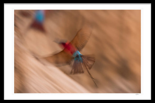 CARMINE MOTION BLUR - Michael Davy