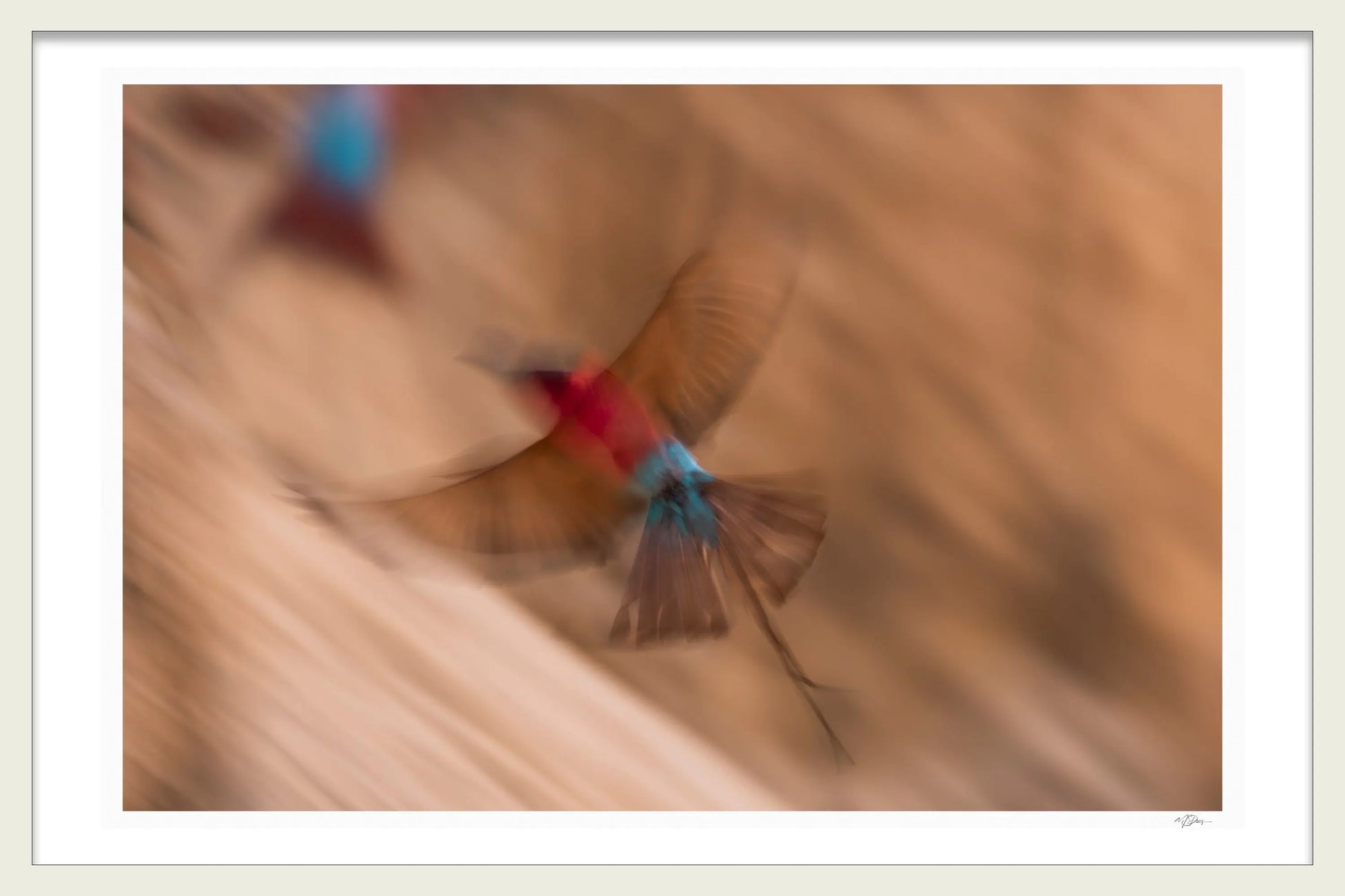 CARMINE MOTION BLUR - Michael Davy