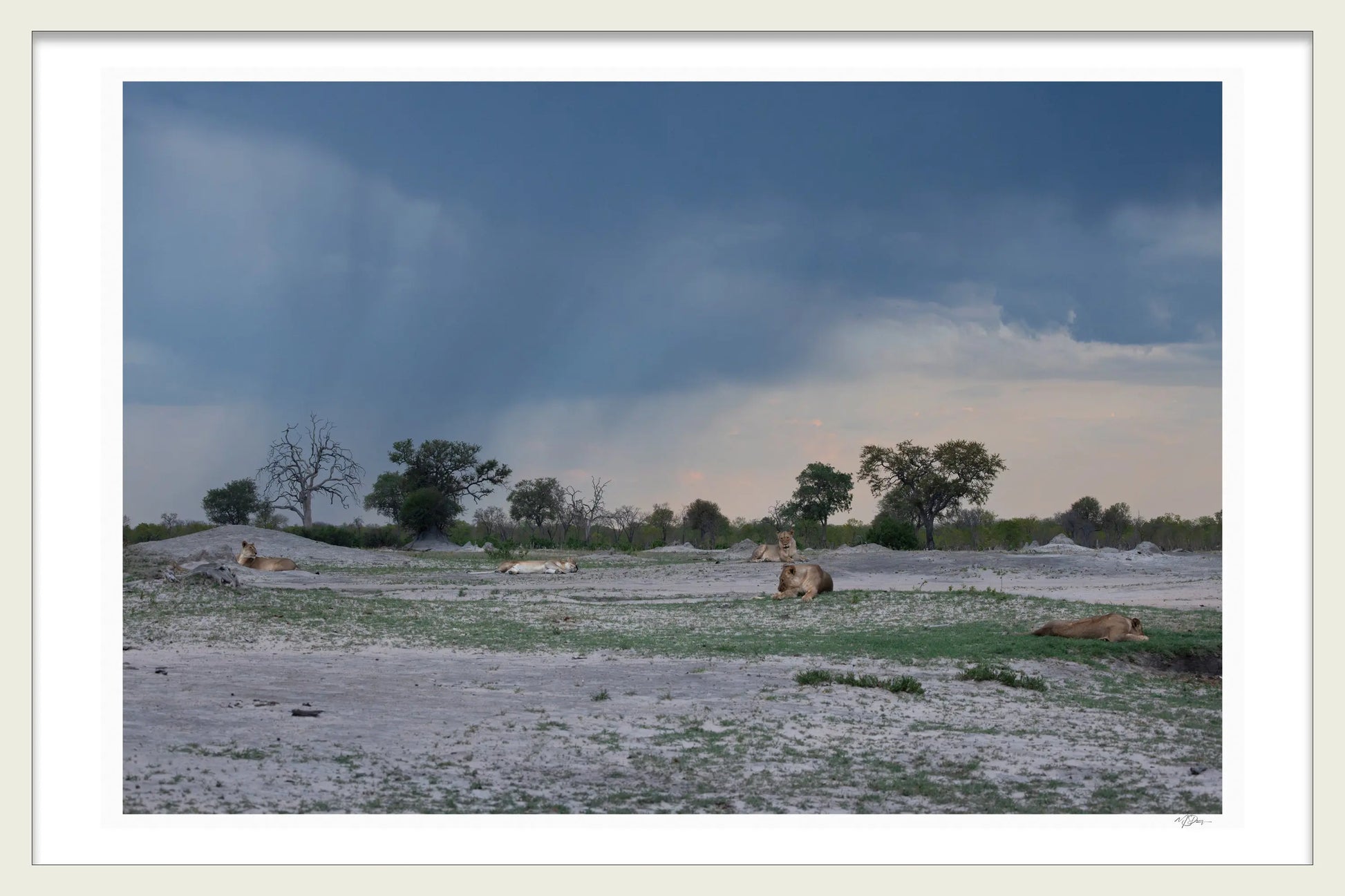 STORM BREAK 1ST EDTION LIMITED FINE ART PRINT