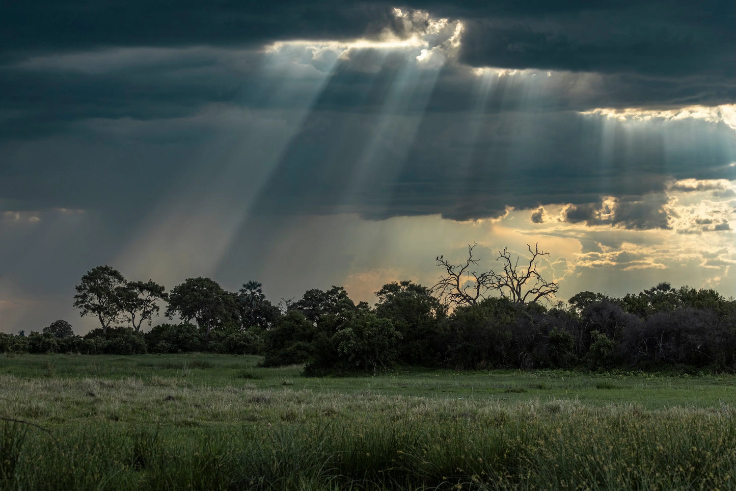 STORM WATCHERS