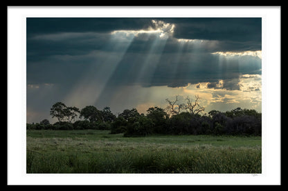 STORM WATCHERS
