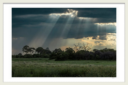 STORM WATCHERS