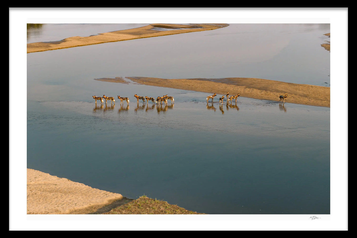 THE CROSSING
