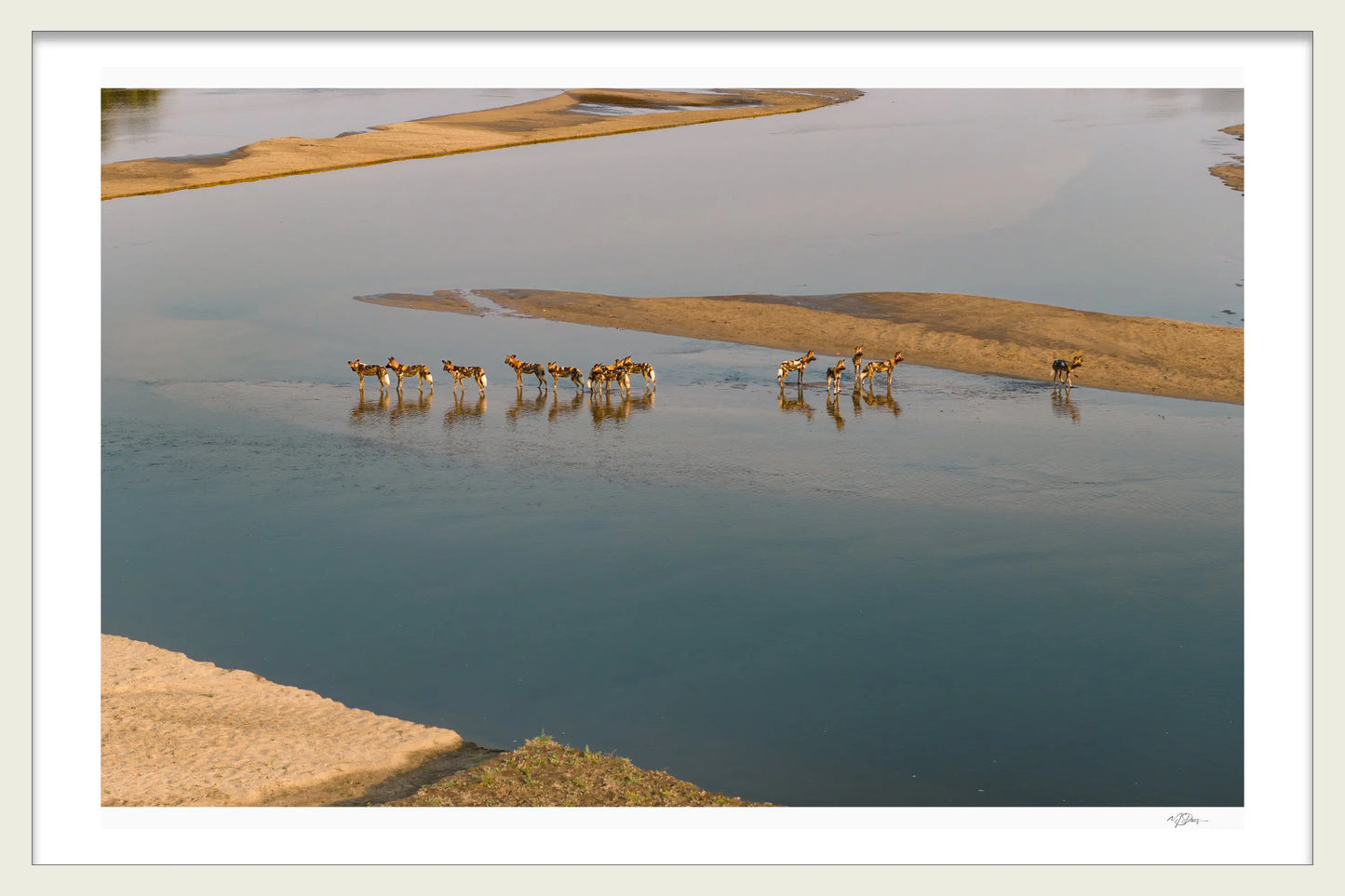 THE CROSSING