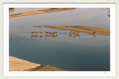 THE CROSSING