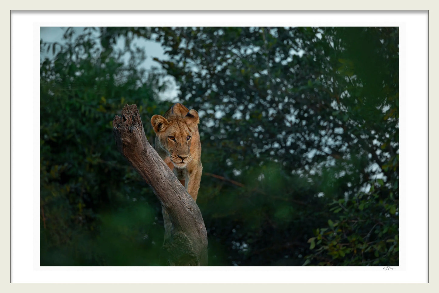 VANTAGE POINT 1ST EDITION LIMITED FINE ART PRINT
