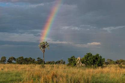 WHERE THE RAINBOW ENDS