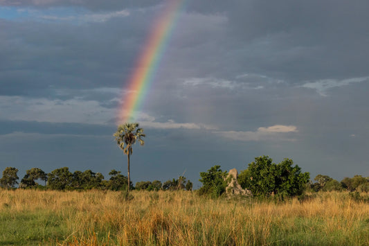 WHERE THE RAINBOW ENDS