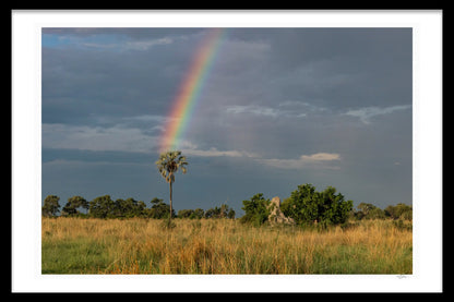 WHERE THE RAINBOW ENDS