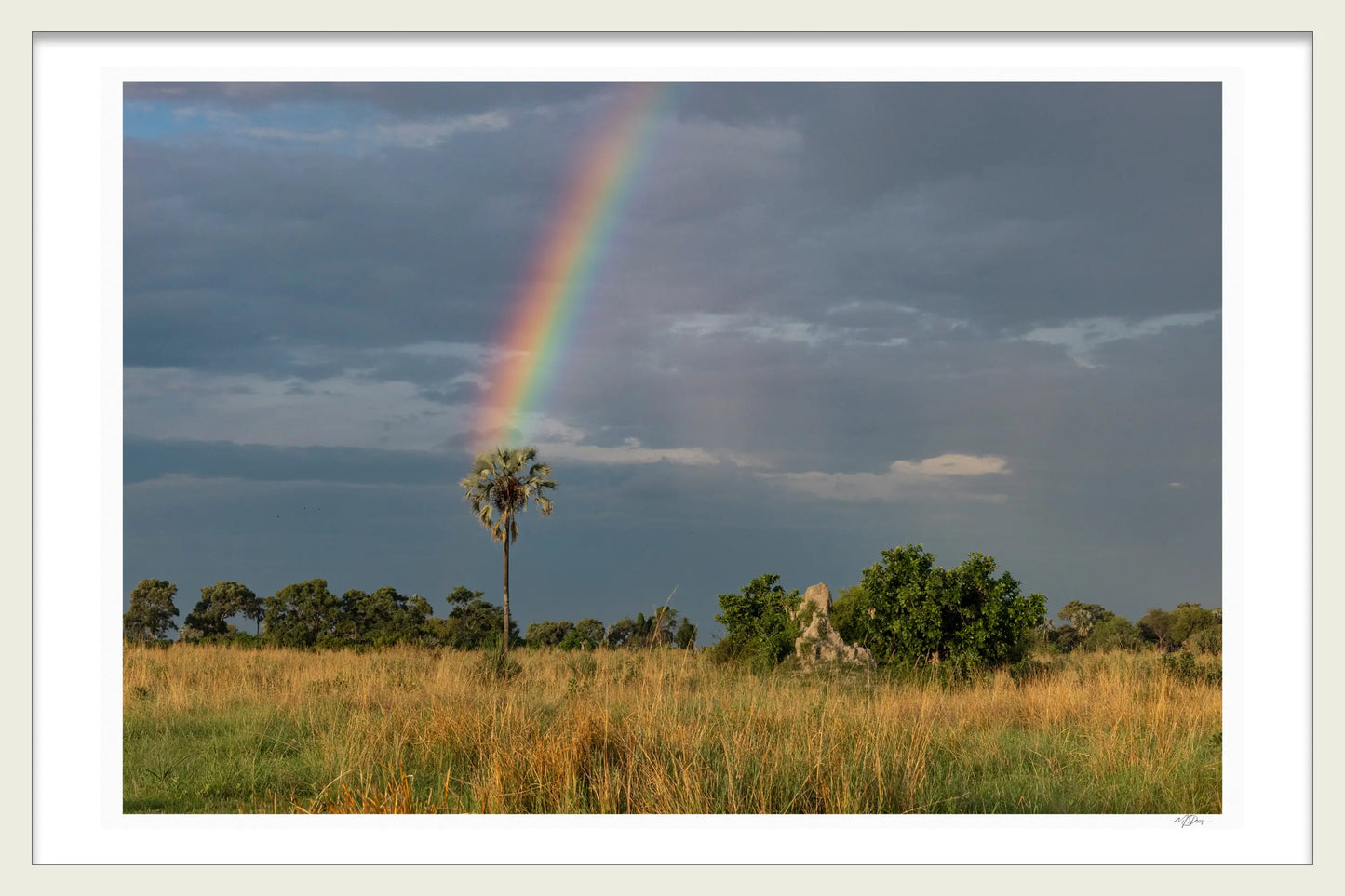 WHERE THE RAINBOW ENDS